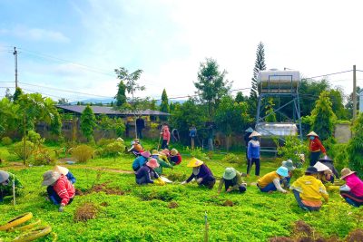 Phụ huynh trường MN Anh Đào tham gia lao động phong quang trường, lớp tạo cảnh quan môi trường  chuẩn bị cho năm học mới 2024-2025